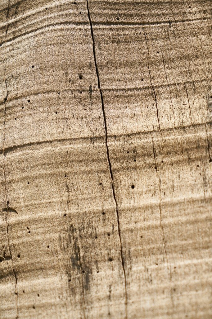 ponçage parquet à Saint-Mars-de-Coutais