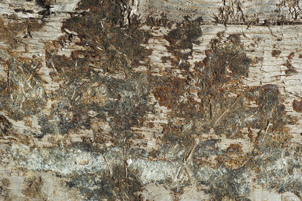 ponçage parquet à Le Pallet